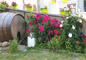 thumbnail: Garden
