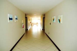thumbnail: General view