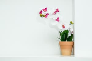 thumbnail: General view