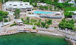 thumbnail: General view