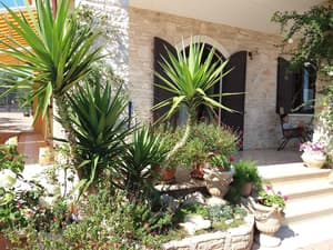 thumbnail: Garden view