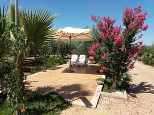 thumbnail: Garden view