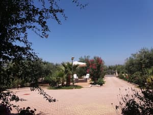 thumbnail: Garden view