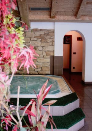 thumbnail: Indoor spa tub