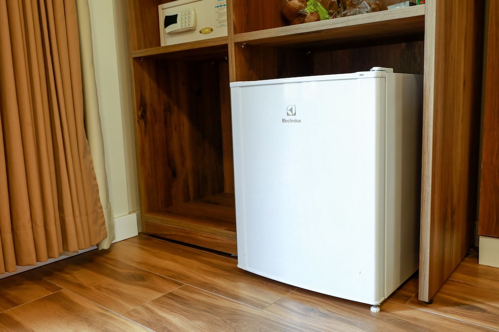 Mini-refrigerator