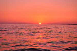 thumbnail: Beach