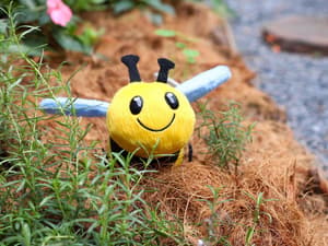 thumbnail: Miscellaneous