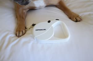 thumbnail: Pet-friendly