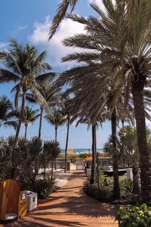 thumbnail: Beach