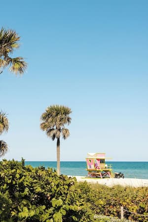 thumbnail: Beach
