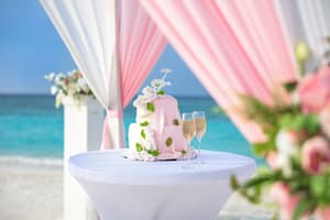 thumbnail: Outdoor wedding area