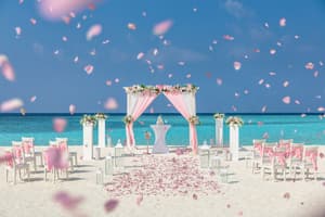 thumbnail: Outdoor wedding area