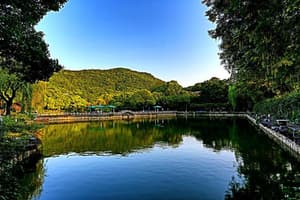 thumbnail: General view