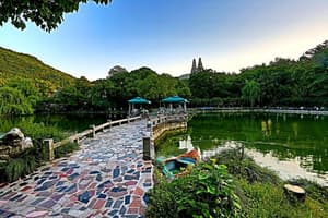 thumbnail: General view