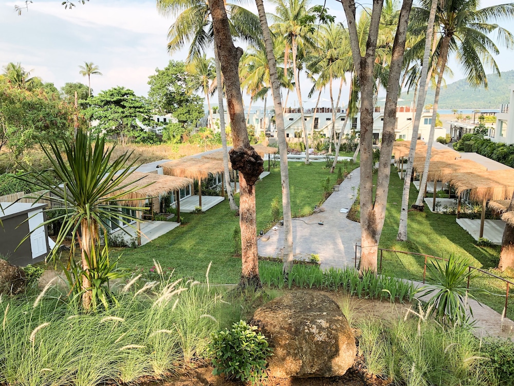 Garden view