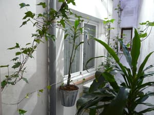 thumbnail: View from room