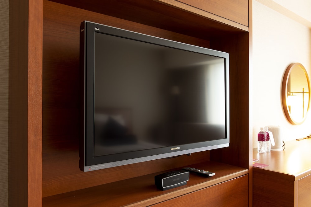 Television