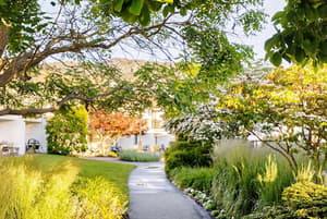 thumbnail: Courtyard