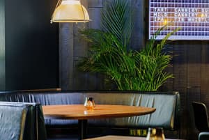 thumbnail: Dining