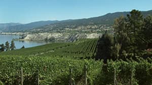 thumbnail: Winery