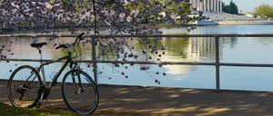 thumbnail: Bicycling