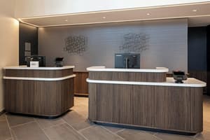 thumbnail: Reception