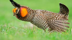thumbnail: Breakfast meal