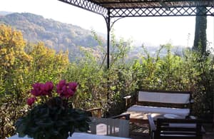 thumbnail: Terrace/patio