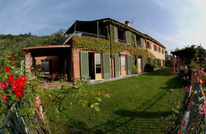 thumbnail: Property grounds