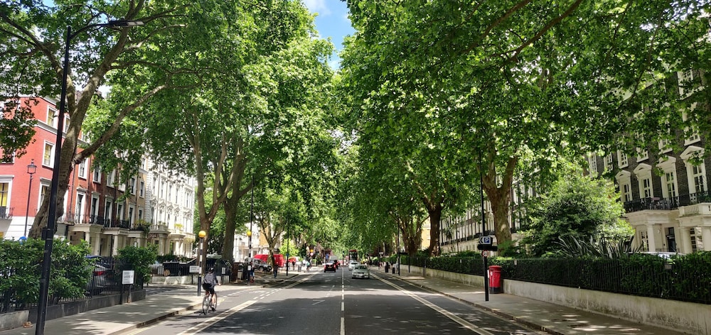 Street view