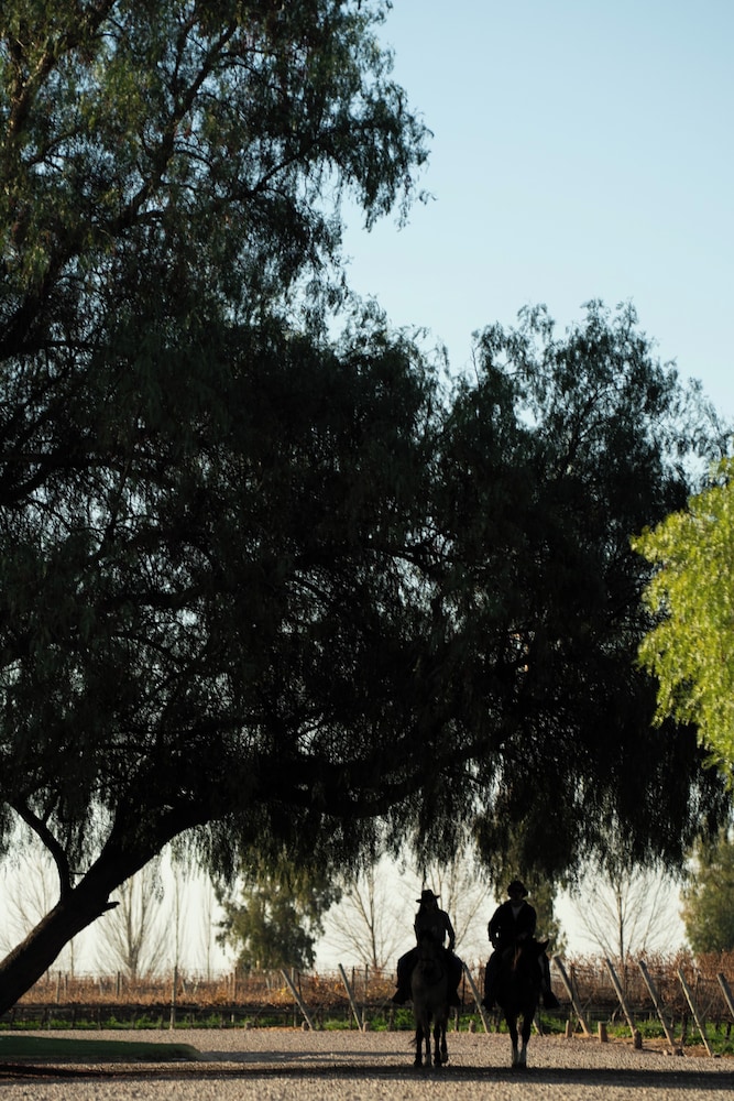 Horseback riding