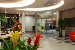 thumbnail: Reception