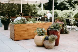 thumbnail: Terrace/patio