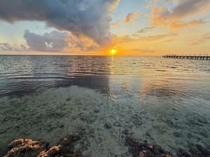 thumbnail: Beach