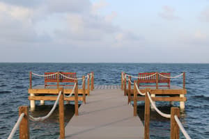 thumbnail: Exterior