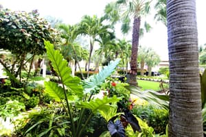 thumbnail: Property amenity
