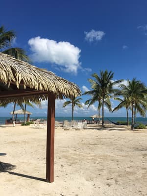 thumbnail: Beach