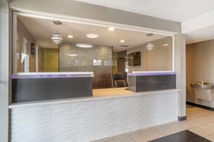 thumbnail: Reception
