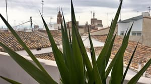 thumbnail: Terrace/patio