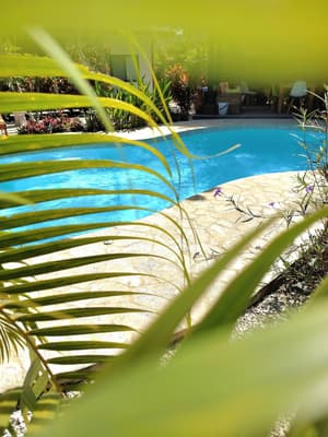 thumbnail: Pool