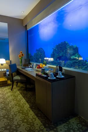 thumbnail: View from room