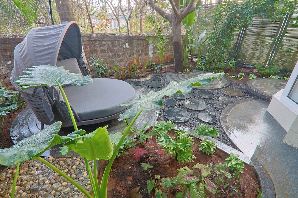 Garden view