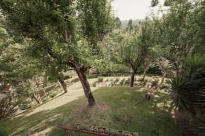 thumbnail: General view