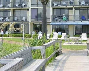 thumbnail: 0774O05L.jpg