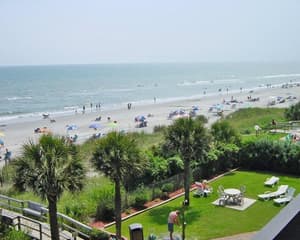 thumbnail: 0774O11L.jpg