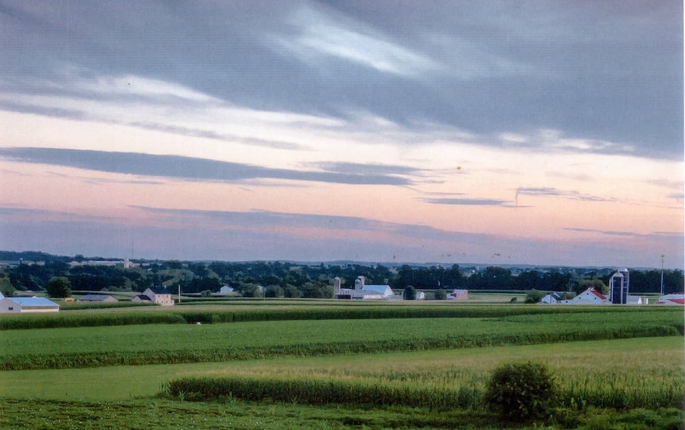 View from room