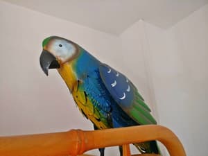 thumbnail: Miscellaneous