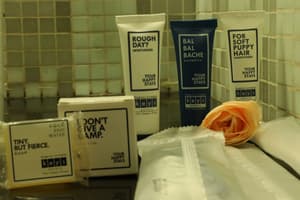 thumbnail: Bathroom amenities