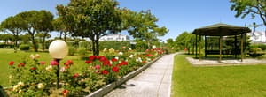thumbnail: Garden