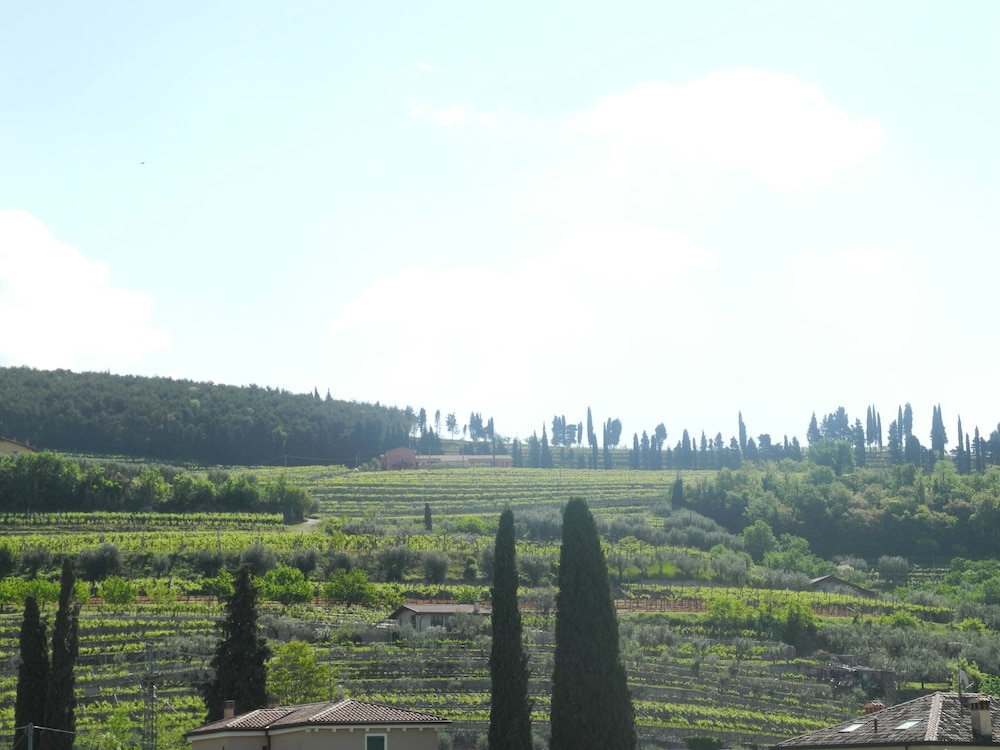 Hill view
